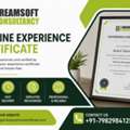 Professional Experience Letter Provider In Mumbai