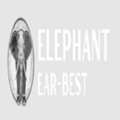Elephant Ear