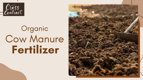 New York, Food, Organic Cow Manure Fertilizer