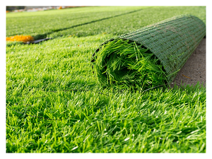 Perth, Farm & Garden, Why Choose Cheap Artificial Grass Perth Today?