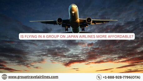 New York, Travel, Is Flying In A Group On Japan Airlines More Affordable?