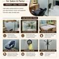 Complete Salon Setup Available For Sale In Excellent Condition &ndash; Ready For Immediate Use