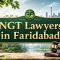 NGT Lawyers In Faridabad For Environmental Legal Support