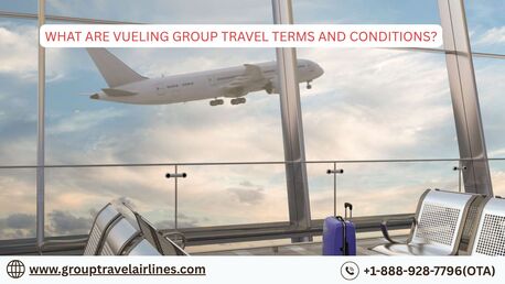 New York, Travel, What Are Vueling Group Travel Terms And Conditions?