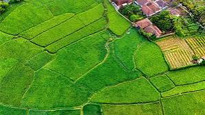 Nagpur, Residential Plots, 30403050 Sq. Meter,  Own Luxury Residential Plots At Hiranandani Nagpur
