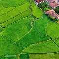 30403050 Sq. Meter,  Own Luxury Residential Plots At Hiranandani Nagpur