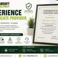 Experience Certificate Provider In Punjab | Dreamsoft