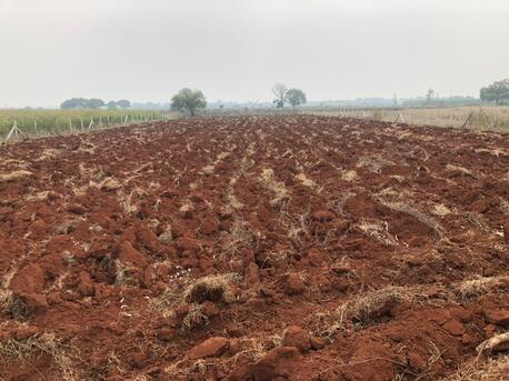 Hyderabad, Agricultural Land, 30 Guntas Land For Sale