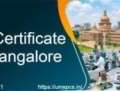 Who Provides BIS Certificate Services In Bangalore?