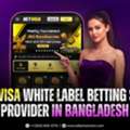 Betvisa Betting Website Provider In Bangladesh