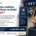 ¿Qué Equipaje Incluye La Tarifa Básica De Delta Airlines?