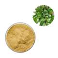 Herbal Extracts Manufacturers In India