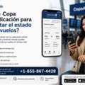 ¿Tiene Copa Una Aplicación Para Consultar El Estado De Los Vuelos?