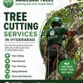 Professional Tree Cutting Services In Hyderabad | HANUSHRI TREES CUTTING SERVICE HYDERABAD
