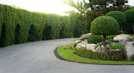 Riyadh, Education, School, College & University Landscaping In Riyadh/لاندسكيب المدارس والكليات والجا