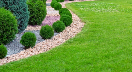 Riyadh, Education, School, College & University Landscaping In Riyadh/لاندسكيب المدارس والكليات والجا