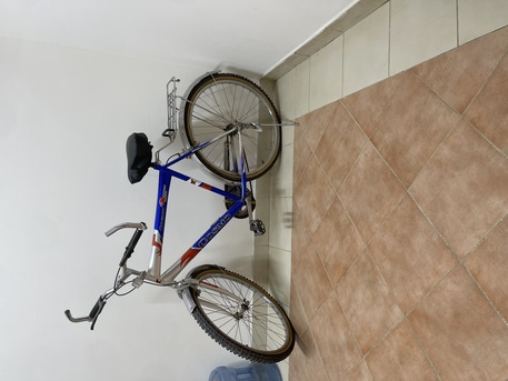 Al Malaz, Bicycles, SAR 175,  Bicycle (COSMO)