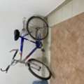 SAR 175,  Bicycle (COSMO)