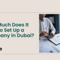 How Much Does It Cost To Set Up A Company In Dubai
