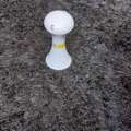 SAR 60,  PetSafe Multi-Laser Interactive Toy  Used