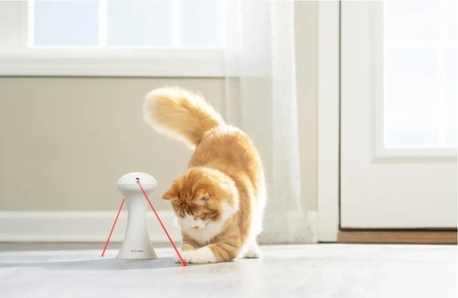 Jeddah, Furniture, SAR 60,  PetSafe Multi-Laser Interactive Toy  Used