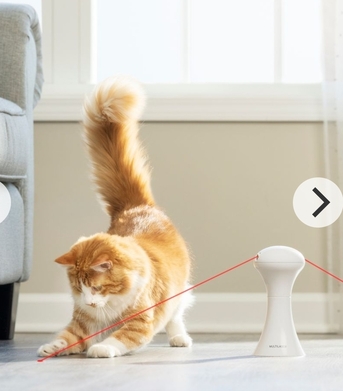 Jeddah, Furniture, SAR 60,  PetSafe Multi-Laser Interactive Toy  Used
