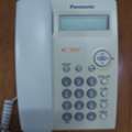 SAR 50,  Panasonic Phone