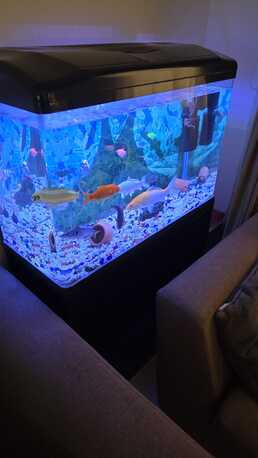 Sanabis, Free Items, BHD 60,  Well Maintained Aqauirum For Sale