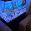 BHD 60, Well Maintained Aqauirum For Sale