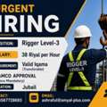 Rigger Level 3