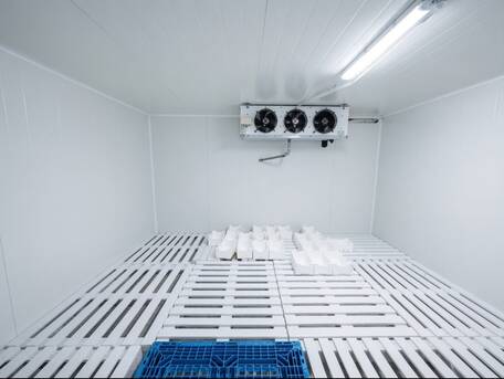 Jeddah, Farm & Garden, Frozen Room Multi Items Fruits Vegs Meats