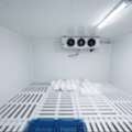 Frozen Room Multi Items Fruits Vegs Meats