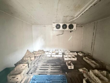 Jeddah, Farm & Garden, Frozen Room Multi Items Fruits Vegs Meats