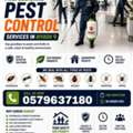 🌟 RAWAD PEST CONTROL – SAFE HOME 🏠 | PEACE OF MIND 😊 | HEALTHY LIFE 🌿 🌟