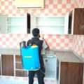 Labour Camp Pest Control Services Sonapur Dubai 0525383175