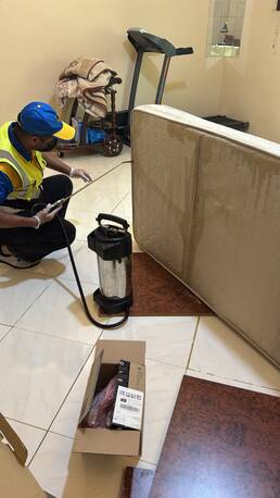 Jeddah, Pest Control, Bed Bugs Treatment. Fast, Effective Chemical Treatment For Villas & Apartments.