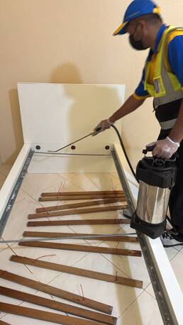 Jeddah, Pest Control, Bed Bugs Treatment. Fast, Effective Chemical Treatment For Villas & Apartments.