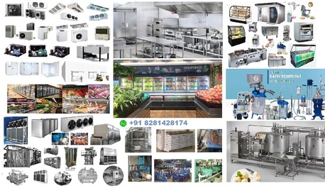 Kochi, Business Partners, നല്ലൊരു ബിസിനസ് മേഖല കണ്ടെത്താൻ
