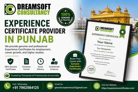 Punjab, Legal, Best Experience Certificate Provider In Punjab With Employment Documentation