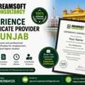 Best Experience Certificate Provider In Punjab With Employment Documentation