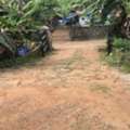 Land Plot 70 Cents For Sale Near Christian College, Chengannur, Kerala &ndash; Call 8281016543