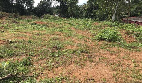 Kerala, Residential Plots, Land Plot 70 Cents For Sale Near Christian College, Chengannur, Kerala &ndash; Call 8281016543