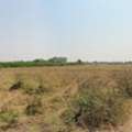 THB 1827500,  6 BR,  731 Sq. Feet,  Empty Land For Sale, Area 1-3-31 Rai, Selling Cheaper Than The Appraised Price, Khlong