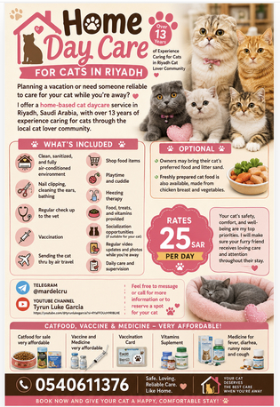 Riyadh, Pet Sitting, Home Cat Boarding Riyadh