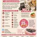 Home Cat Boarding Riyadh