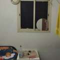 SAR 750/month,  Executive Bachelor Room