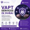 VAPT Services In Dubai | EShield IT Services