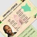 We Have Drivers For Saudi Companies