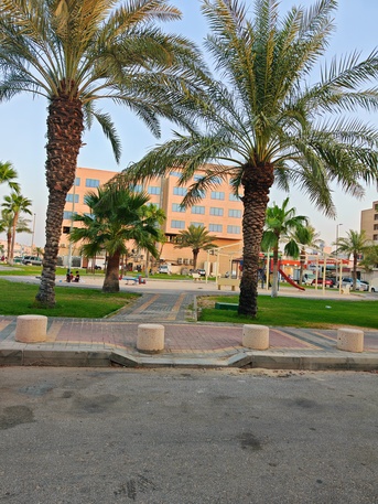 Khobar, Apartments, Flats, Houses & Villas, SAR 30600/year,  3 BR,  3BHK Family Flat Near Indian Girls School 1KM Distance