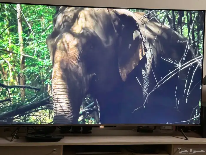 Riyadh, Household Items, SAR 1200,  TIT Google TV 65 Inch تلفزيون TIT Google TV مقاس 65 بوصة